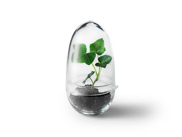 Design House Stockholm Grow greenhouse
Clear glass / デザインハウスストックホルム グロウ グリーンハウス
クリアガラス （花器・プランター・グリーン > 花瓶・フラワーベース） 1