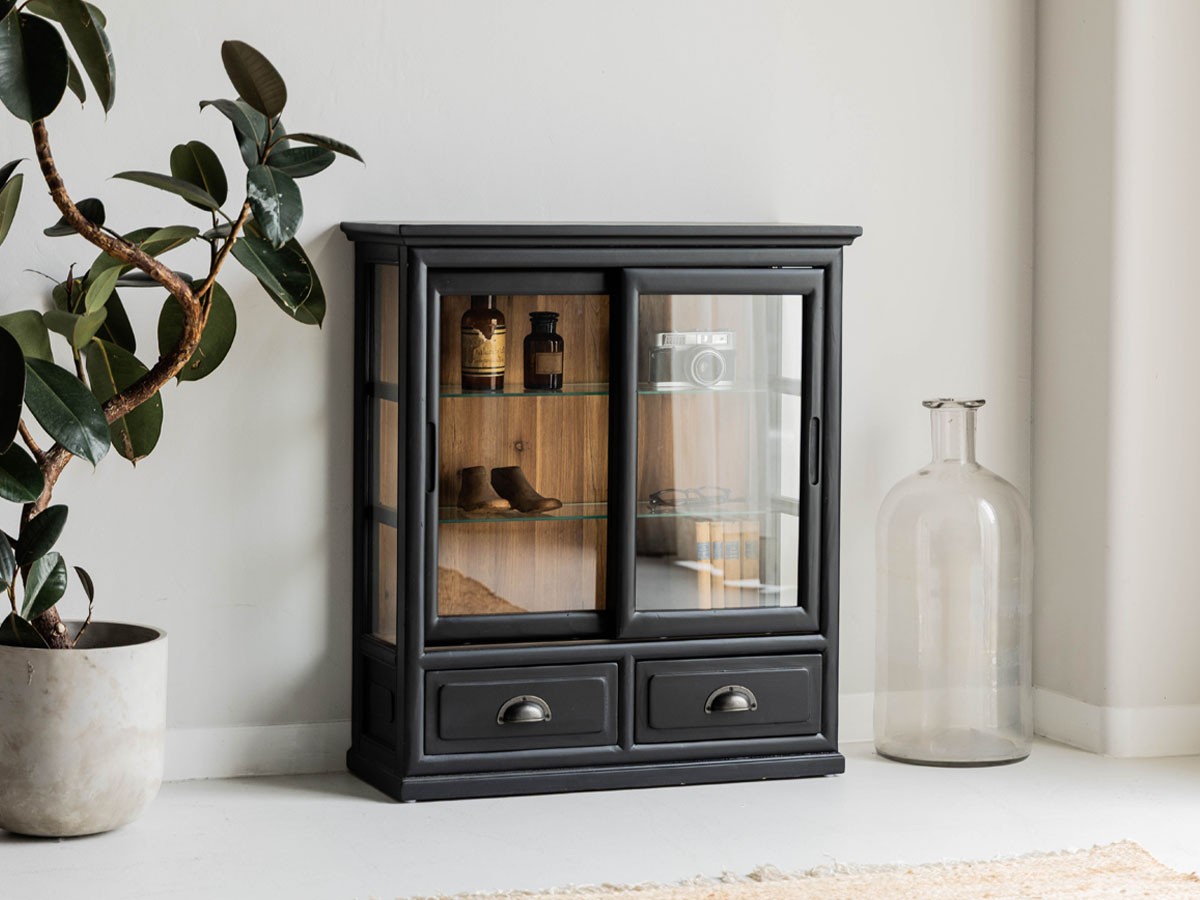 Knot antiques SATSUKI GLASS CABINET / ノットアンティークス サツキ