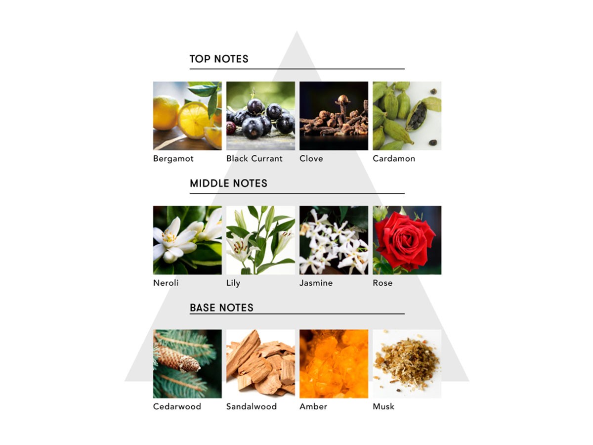 SINN PURETE MINDFUL HAND WASH / シンピュルテ マインドフル ハンドウォッシュ
FREE SPIRIT / 自由な精神 （インテリア雑貨 > ボディケア） 6