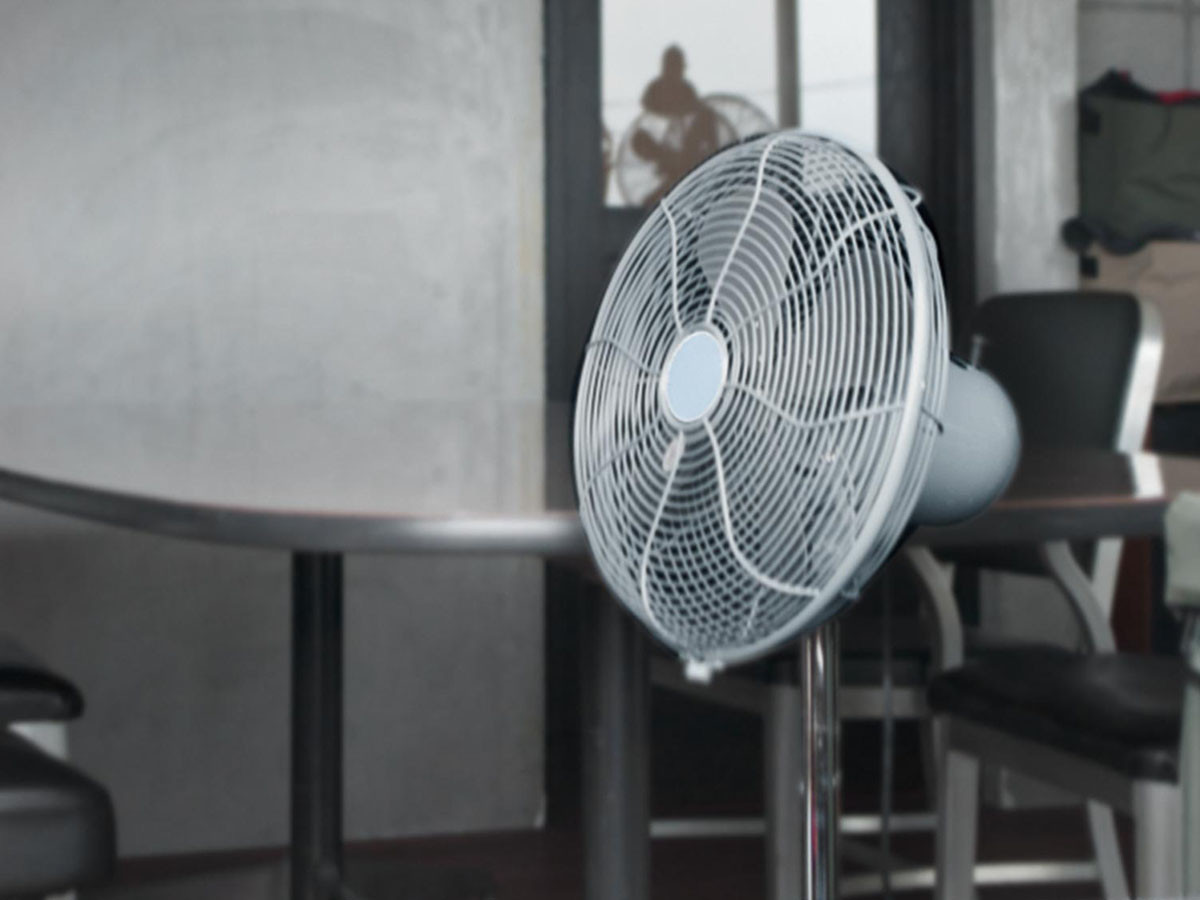 HERMOSA RETRO FAN FLOOR 2020 / ハモサ レトロファンフロア