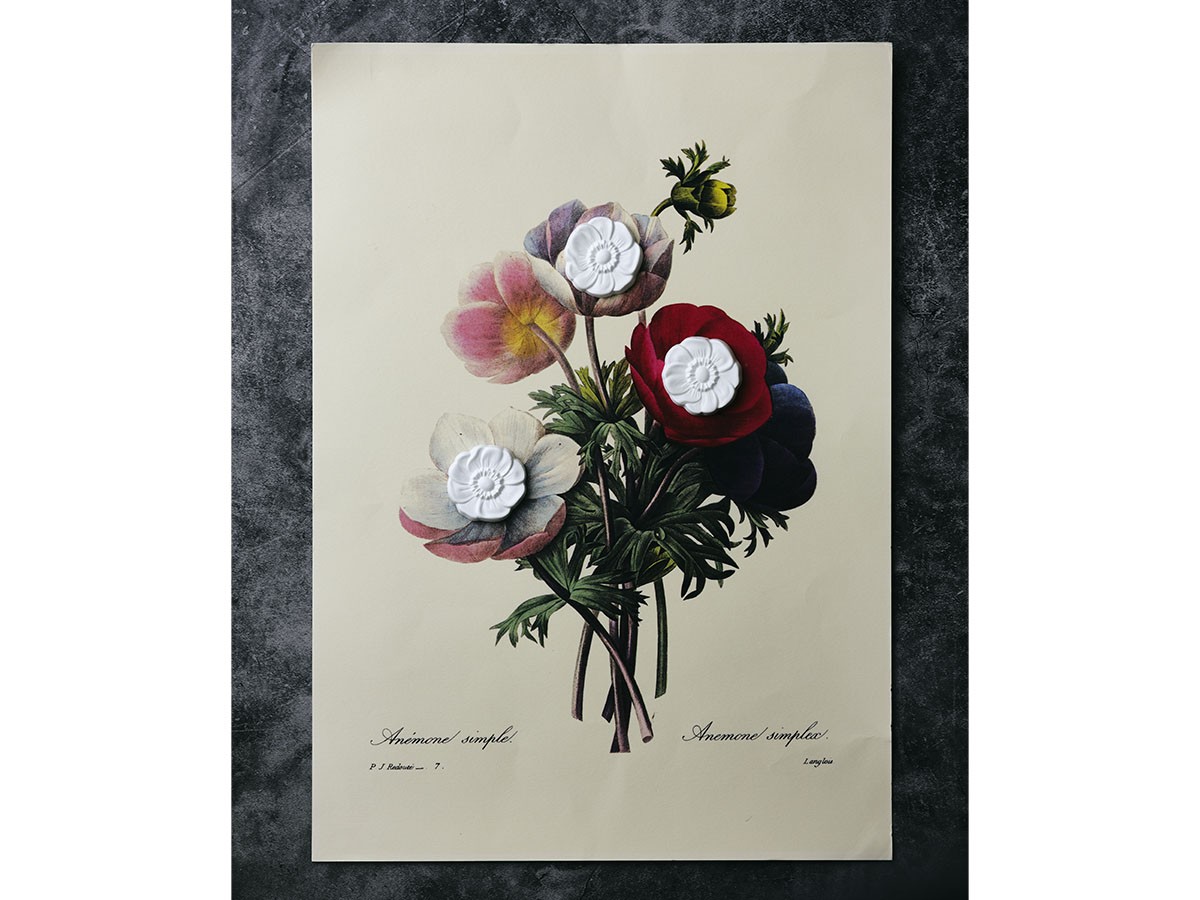 BALLON AROMA ORNAMENT for Drawer
Anemone / バロン アロマオーナメント フォー ドロワー 
アネモネ （インテリア雑貨 > ルームフレグランス） 4