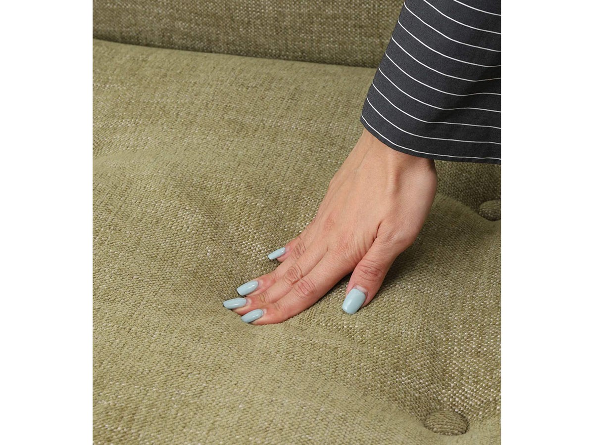 ACME Furniture WINDAN SOFA / アクメファニチャー ウィンダン ソファ 2人掛け （ソファ > 二人掛けソファ） 33