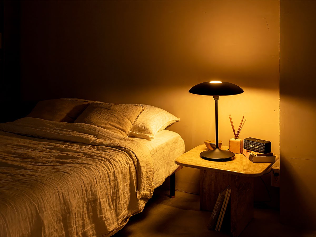 UMAGE Manta Ray Table / ウメイ マンタ レイ テーブル （ライト・照明 > テーブルランプ） 4