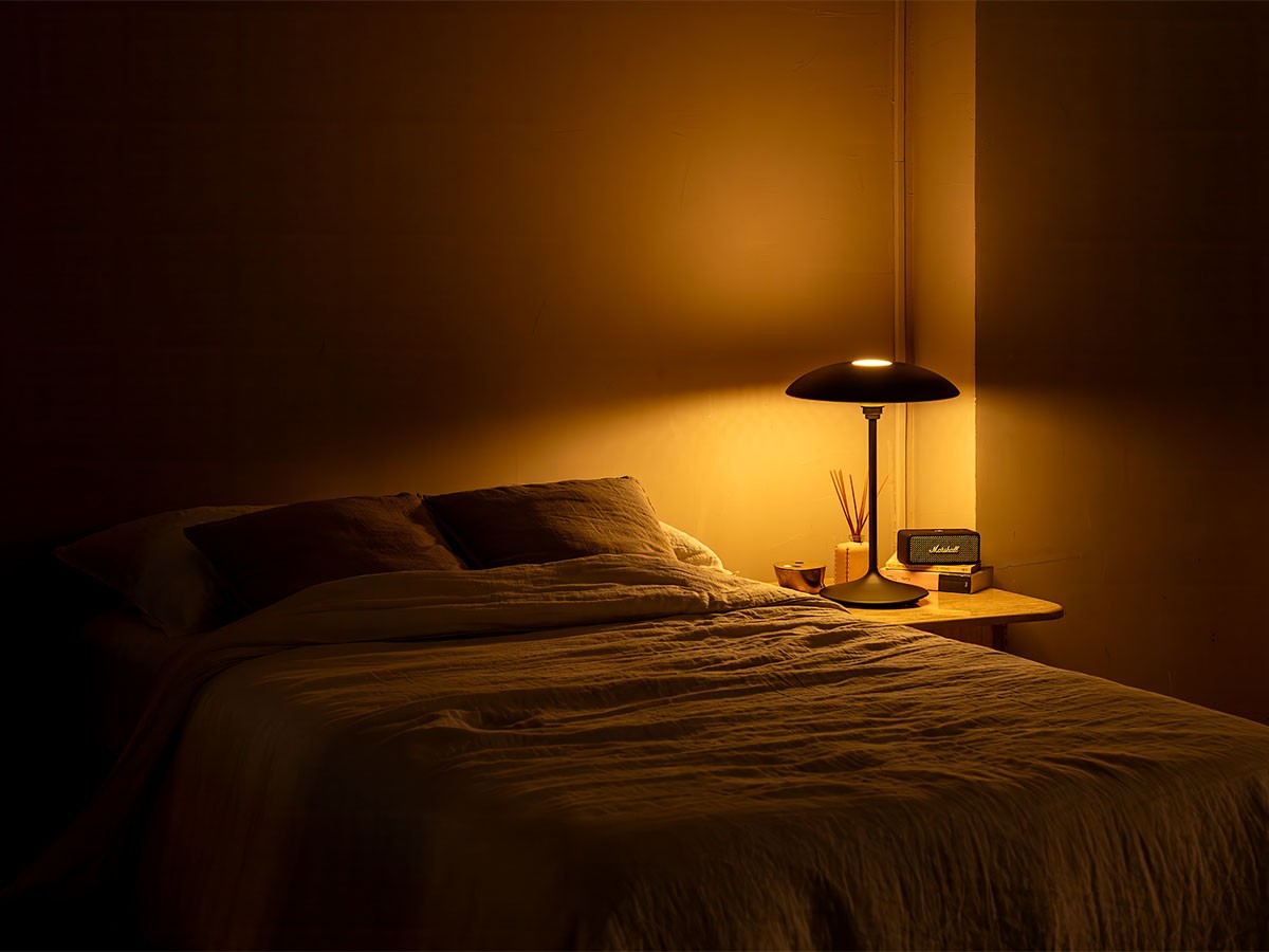 UMAGE Manta Ray Table / ウメイ マンタ レイ テーブル （ライト・照明 > テーブルランプ） 3