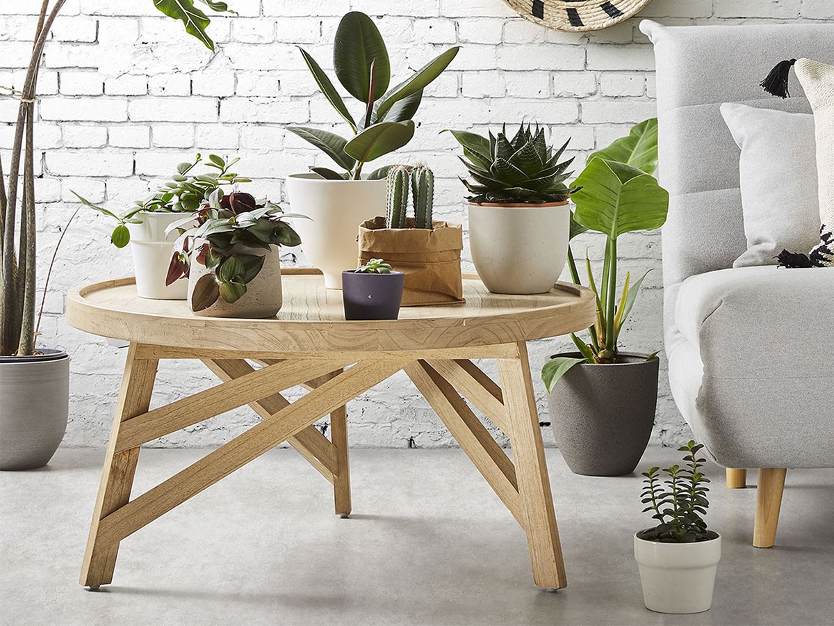 LaForma TENDA / ラ フォーマ テンダ コーヒーテーブル （テーブル > ローテーブル・リビングテーブル・座卓） 2