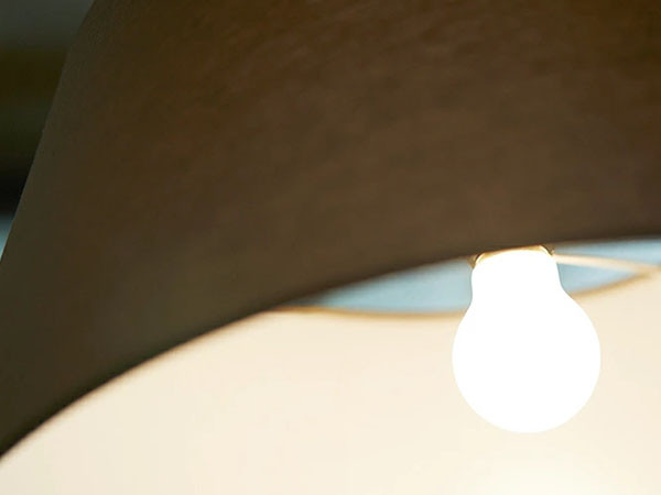 Floor Lamp / フロアーランプ #108223 （ライト・照明 > フロアライト・フロアスタンド） 9
