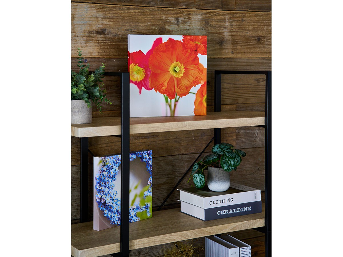 YOKO Takeuchi Pastel Bloom Orange Poppy / ヨウコ タケウチ パステルブルーム オレンジポピー （アート・オブジェ > フォトパネル・フォトアート） 4