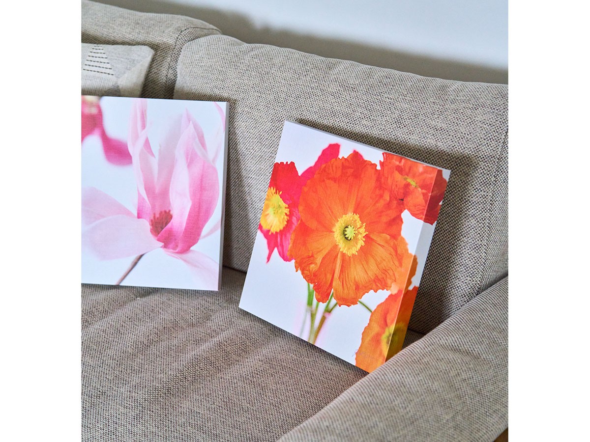 YOKO Takeuchi Pastel Bloom Orange Poppy / ヨウコ タケウチ パステルブルーム オレンジポピー （アート・オブジェ > フォトパネル・フォトアート） 5