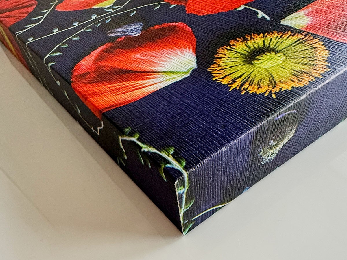 YOKO Takeuchi Pastel Bloom Orange Poppy / ヨウコ タケウチ パステルブルーム オレンジポピー （アート・オブジェ > フォトパネル・フォトアート） 7