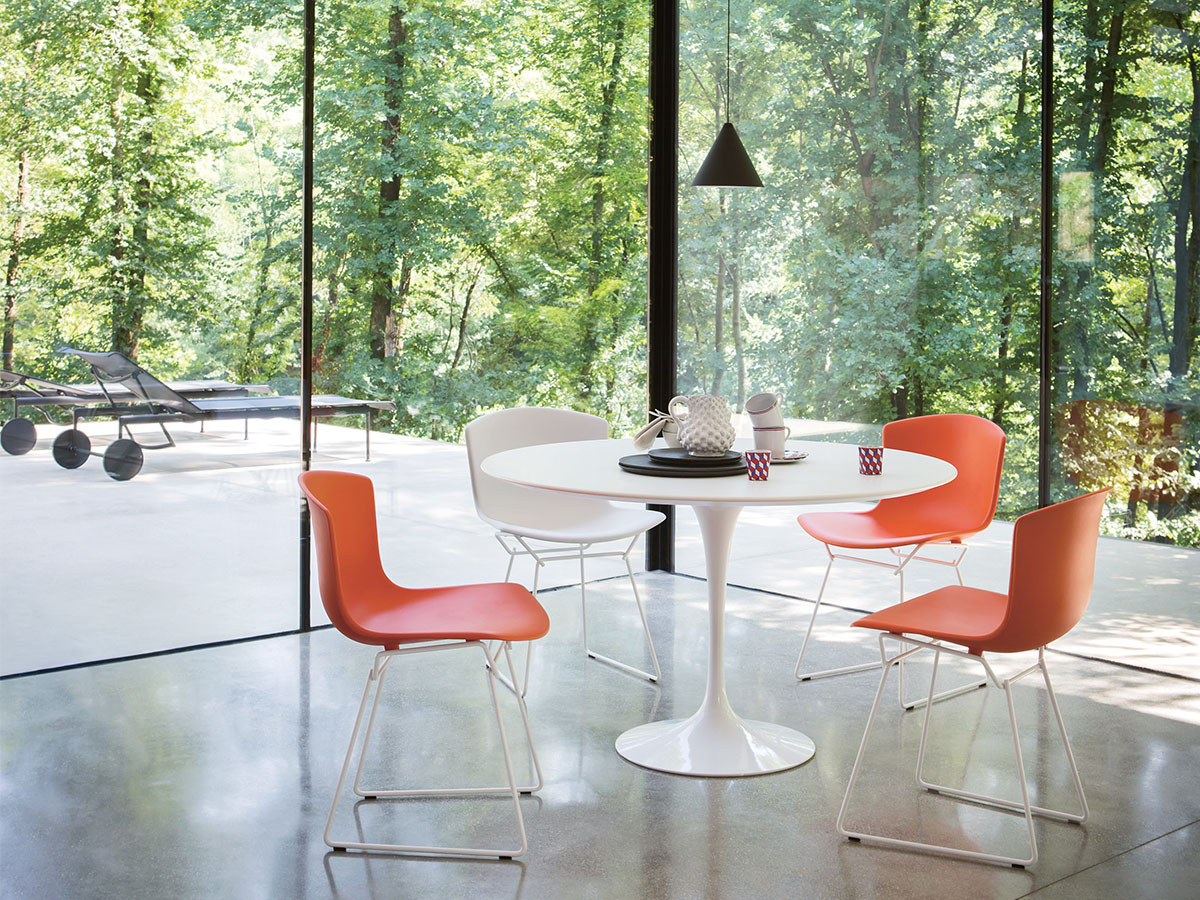 Bertoia Collection
Plastic Side Chair 6