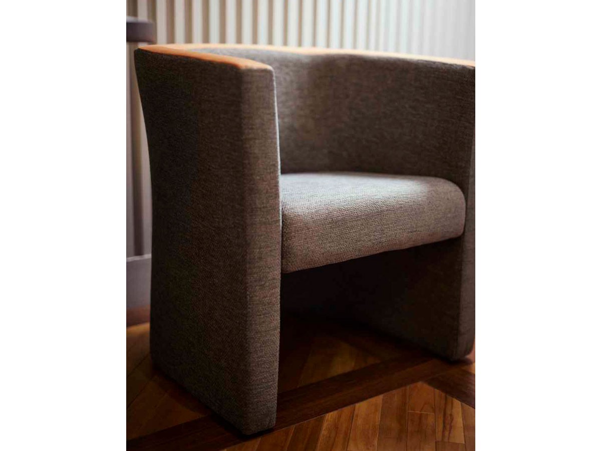 ABORD LOUNGE CHAIR / アボール ラウンジチェア F006 （チェア・椅子 > ラウンジチェア） 5