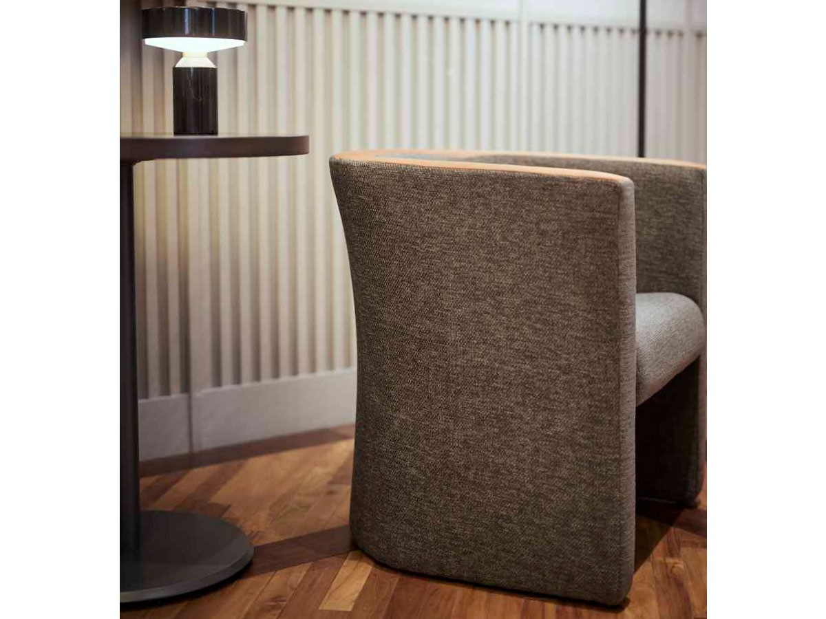 ABORD LOUNGE CHAIR / アボール ラウンジチェア F006 （チェア・椅子 > ラウンジチェア） 4