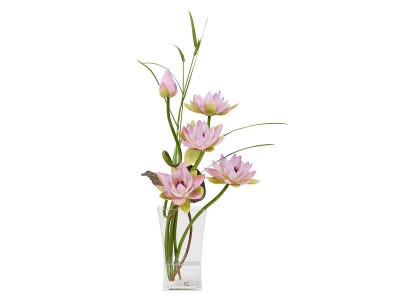 EMILIO ROBBA VANDA BOTANIC / エミリオロバ バンダボタニック