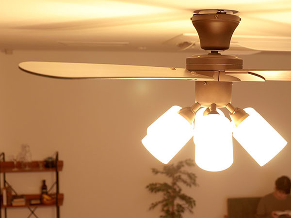 FLYMEe Parlor Ceiling Fan / フライミーパーラー シーリングファン