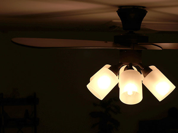 Ceiling Fan / シーリングファン #106235 （ライト・照明 > シーリングファンライト・シーリングファン） 15