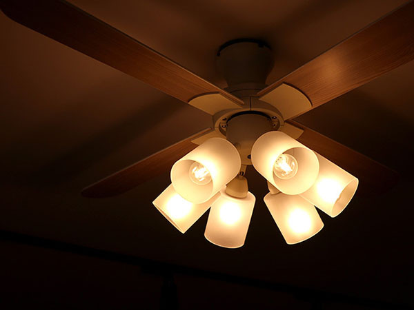 Ceiling Fan / シーリングファン #106235 （ライト・照明 > シーリングファンライト・シーリングファン） 16