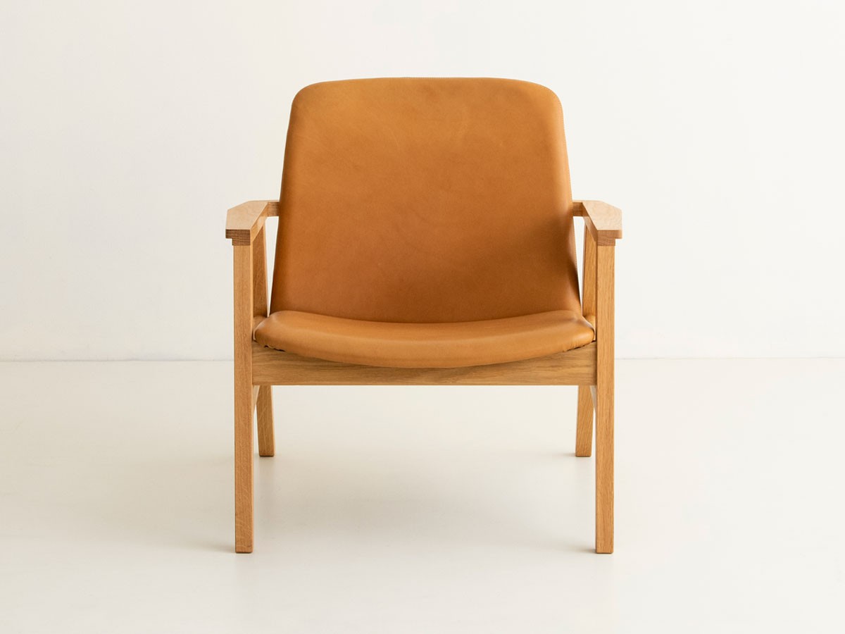 Ann Lounge Chair / アン ラウンジチェア （チェア・椅子 > ラウンジチェア） 7