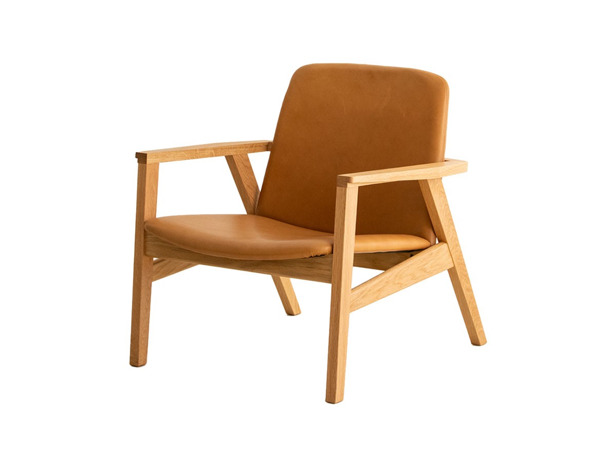 Ann Lounge Chair / アン ラウンジチェア （チェア・椅子 > ラウンジチェア） 1