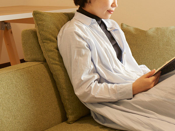 HAREM LOHAS CUSHION / ハーレム ロハス ハイバック背クッション（旧