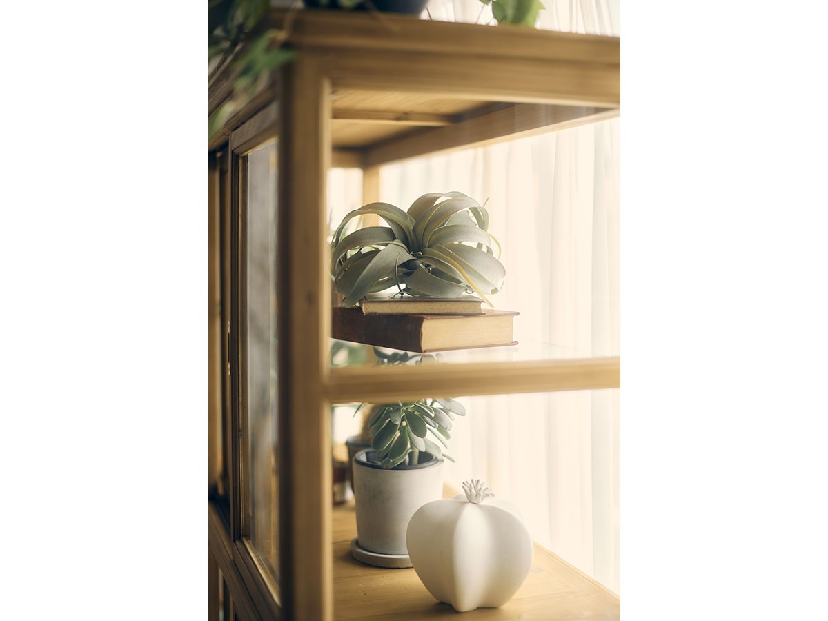 Knot antiques SURIKA GLASS CABINET / ノットアンティークス スリカ ガラス キャビネット 幅120cm （収納家具 > キャビネット） 19