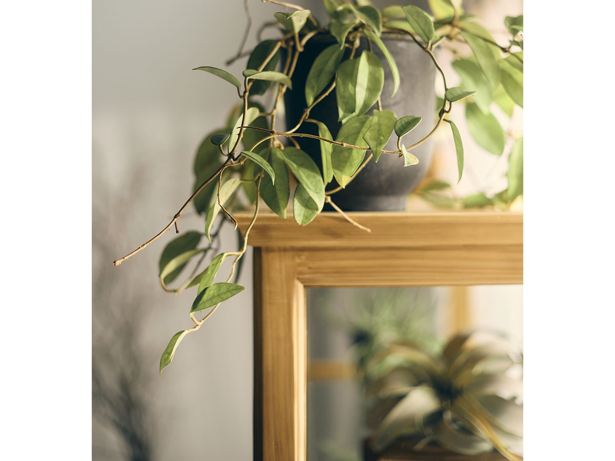 Knot antiques SURIKA GLASS CABINET / ノットアンティークス スリカ ガラス キャビネット 幅120cm （収納家具 > キャビネット） 20