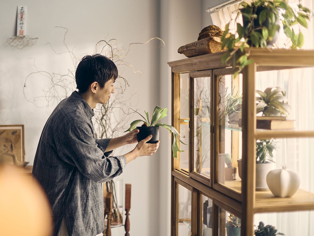 Knot antiques SURIKA GLASS CABINET / ノットアンティークス スリカ ガラス キャビネット 幅120cm （収納家具 > キャビネット） 15