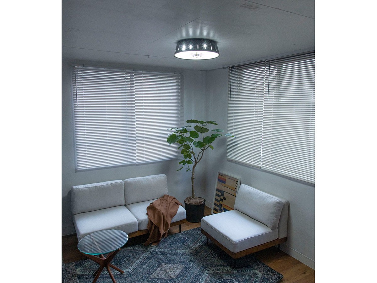 ACME Furniture SAGA LED CEILING LIGHT / アクメファニチャー サーガ LED シーリングライト （ライト・照明 > シーリングライト） 11