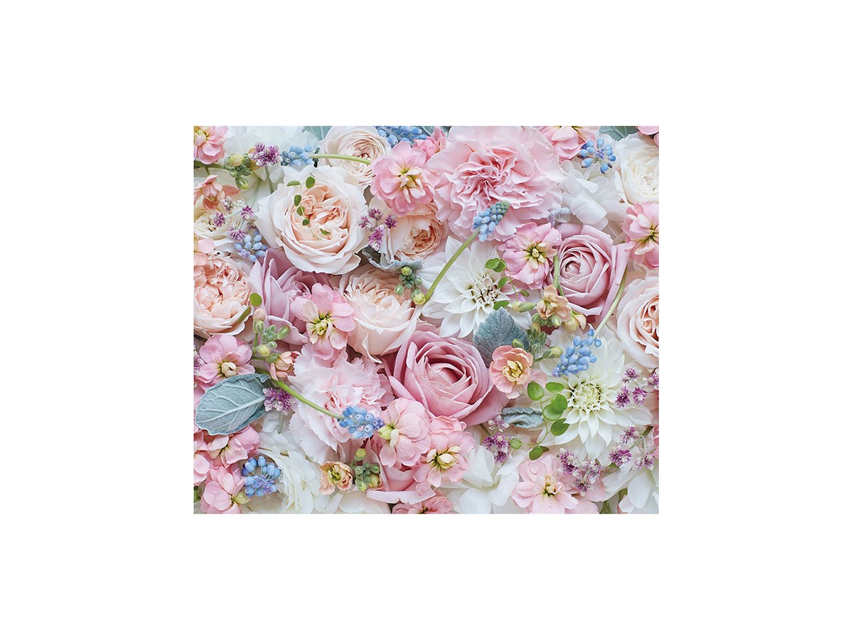 Pastel Bloom Rose Hermoney