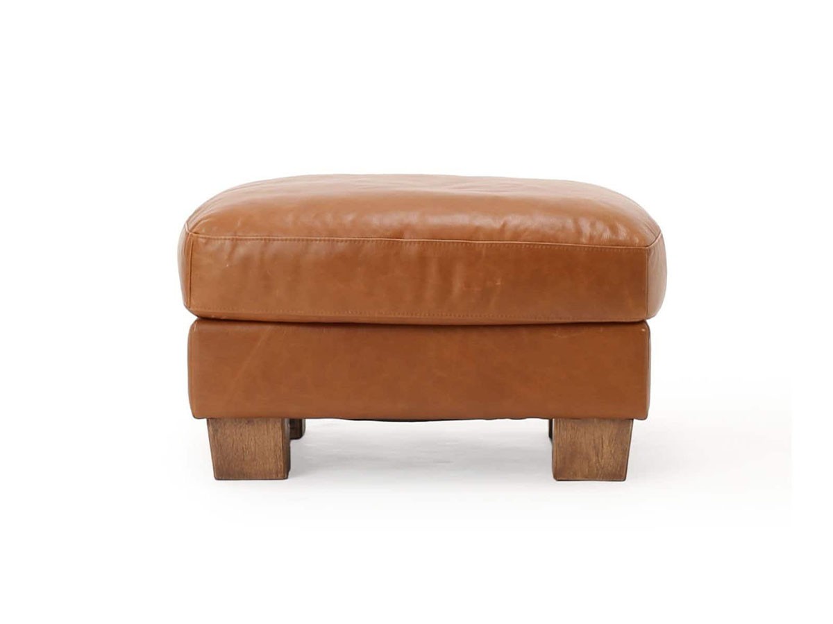 ACME Furniture FRESNO OTTOMAN / アクメファニチャー フレスノ オットマン （ソファ > オットマン） 7