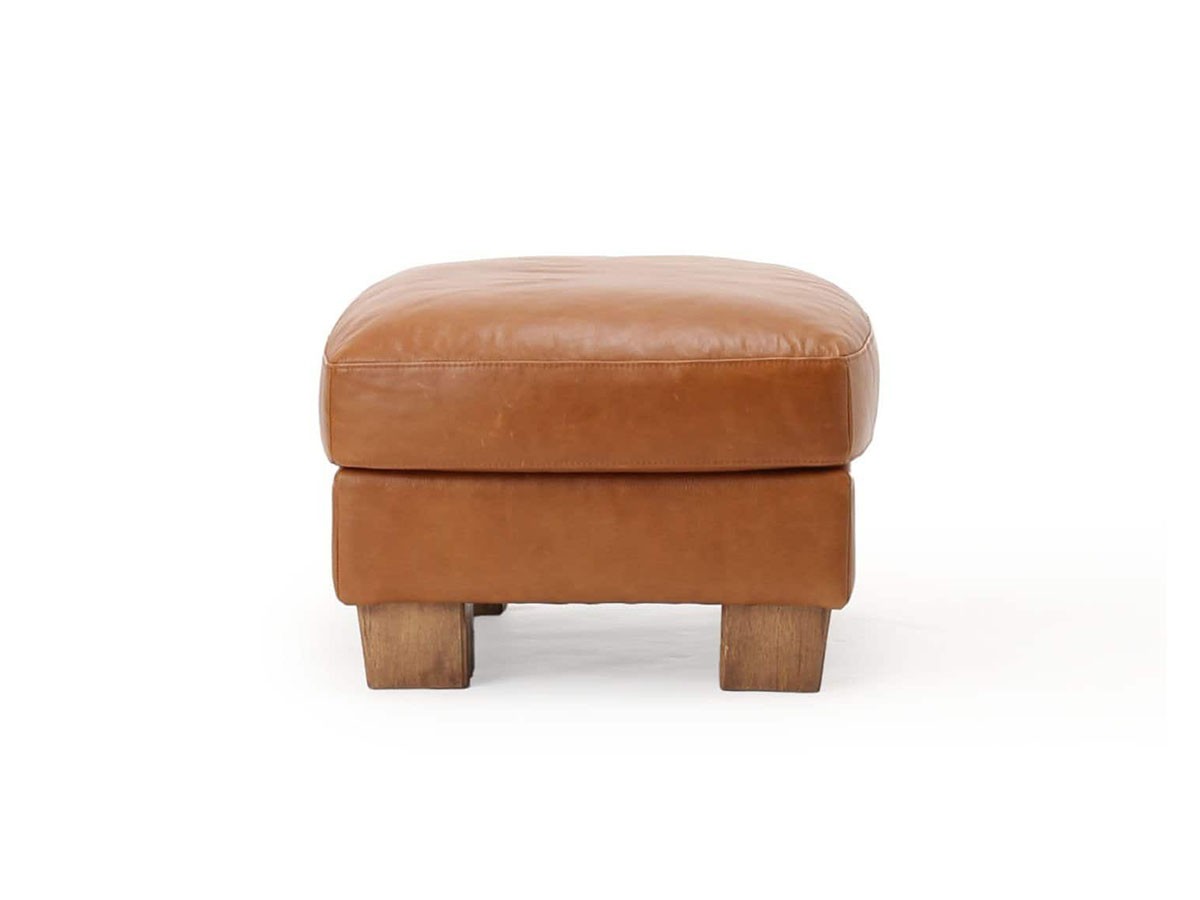 ACME Furniture FRESNO OTTOMAN / アクメファニチャー フレスノ オットマン （ソファ > オットマン） 8