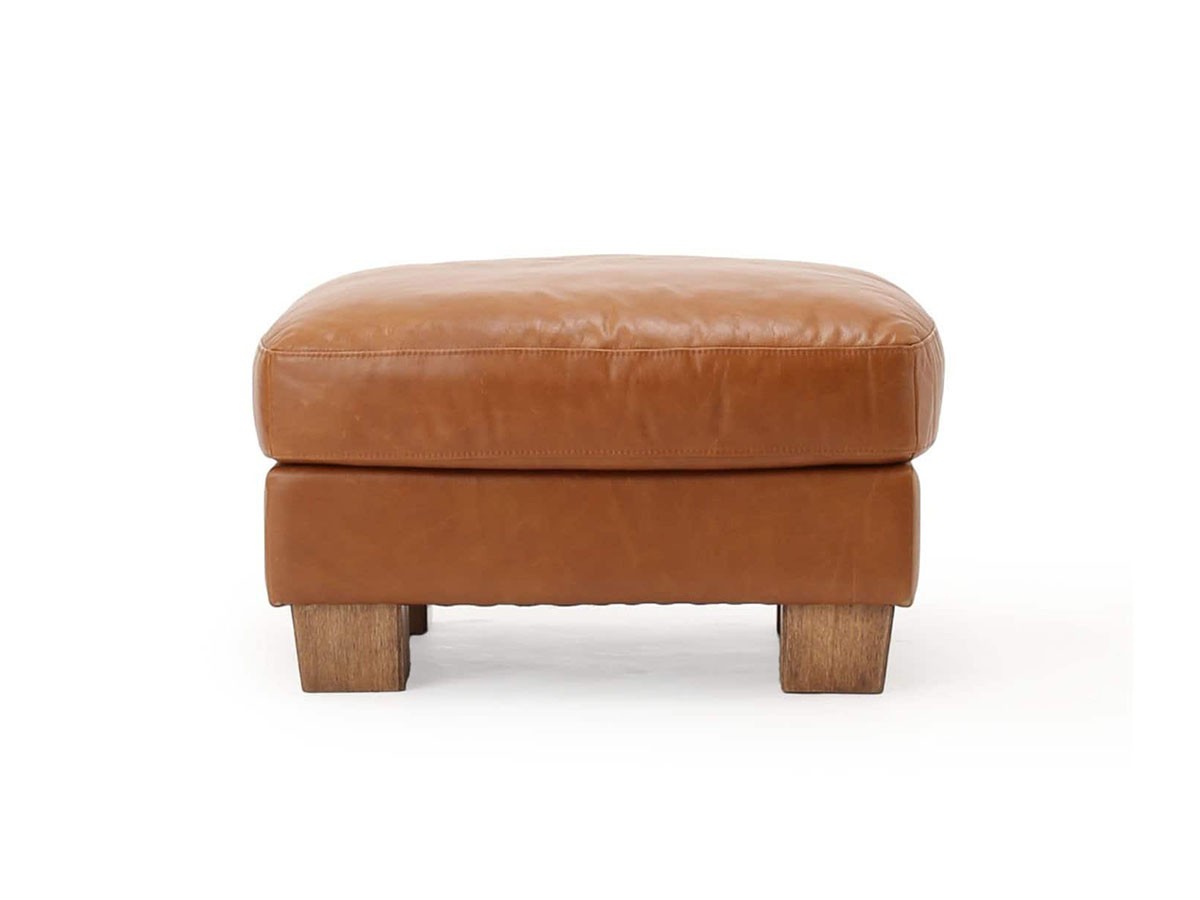 ACME Furniture FRESNO OTTOMAN / アクメファニチャー フレスノ オットマン （ソファ > オットマン） 9