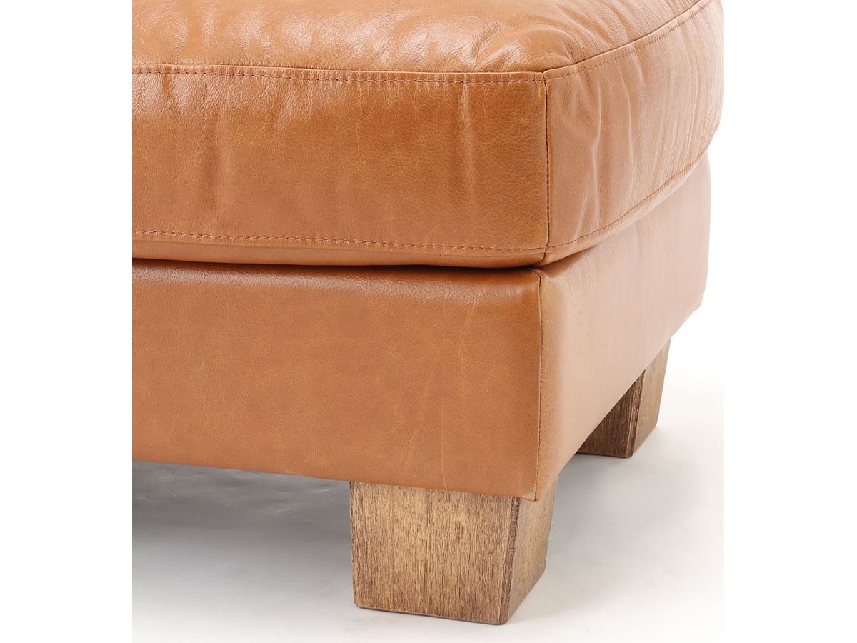 ACME Furniture FRESNO OTTOMAN / アクメファニチャー フレスノ オットマン （ソファ > オットマン） 11