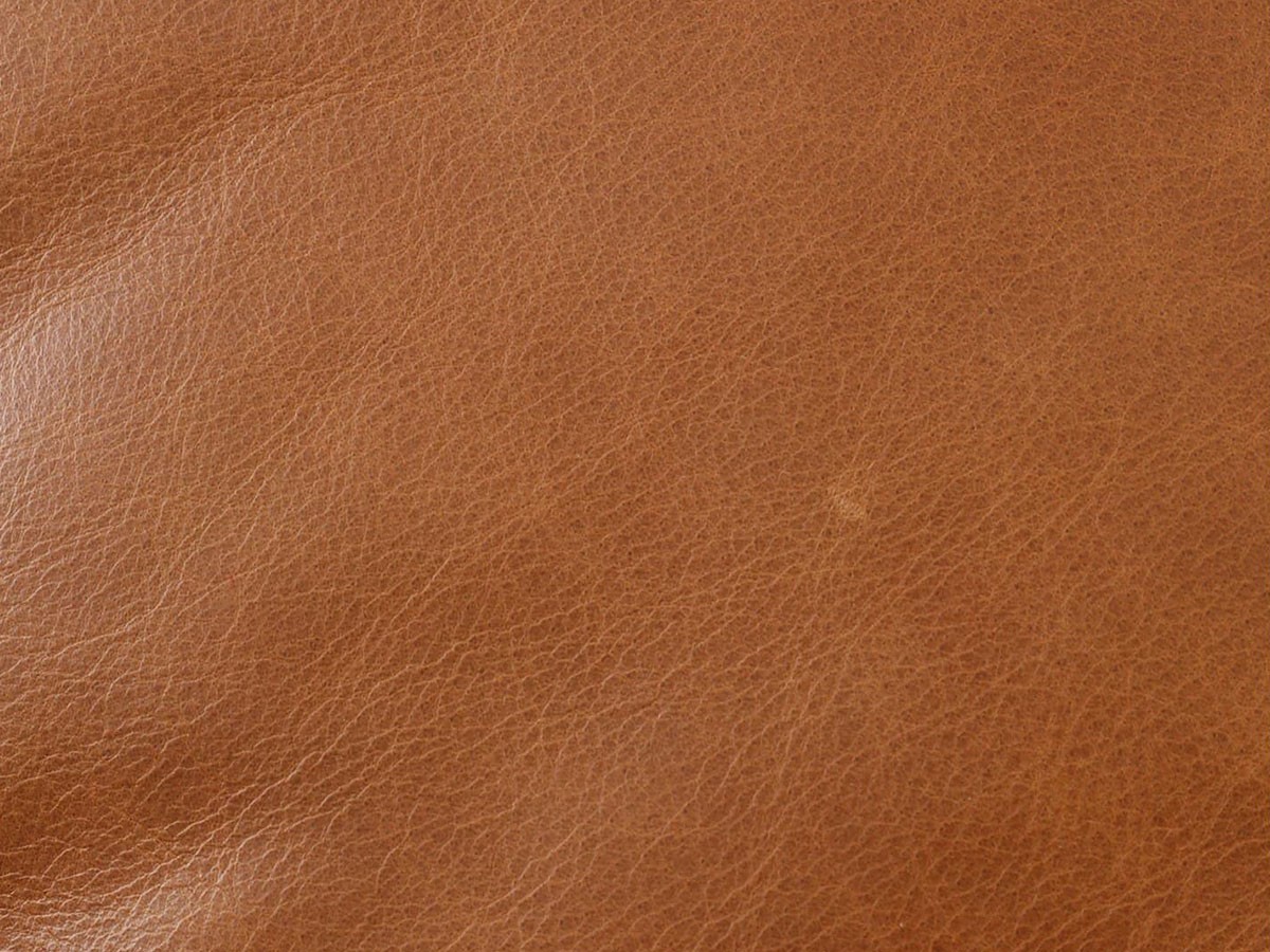 ACME Furniture FRESNO OTTOMAN / アクメファニチャー フレスノ オットマン （ソファ > オットマン） 12