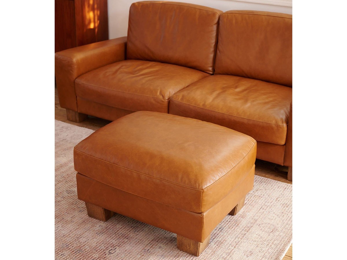 ACME Furniture FRESNO OTTOMAN / アクメファニチャー フレスノ オットマン （ソファ > オットマン） 4