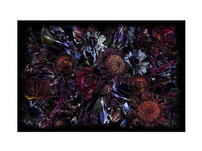 Marcel Wanders / マルセル・ワンダースのラグ・カーペット