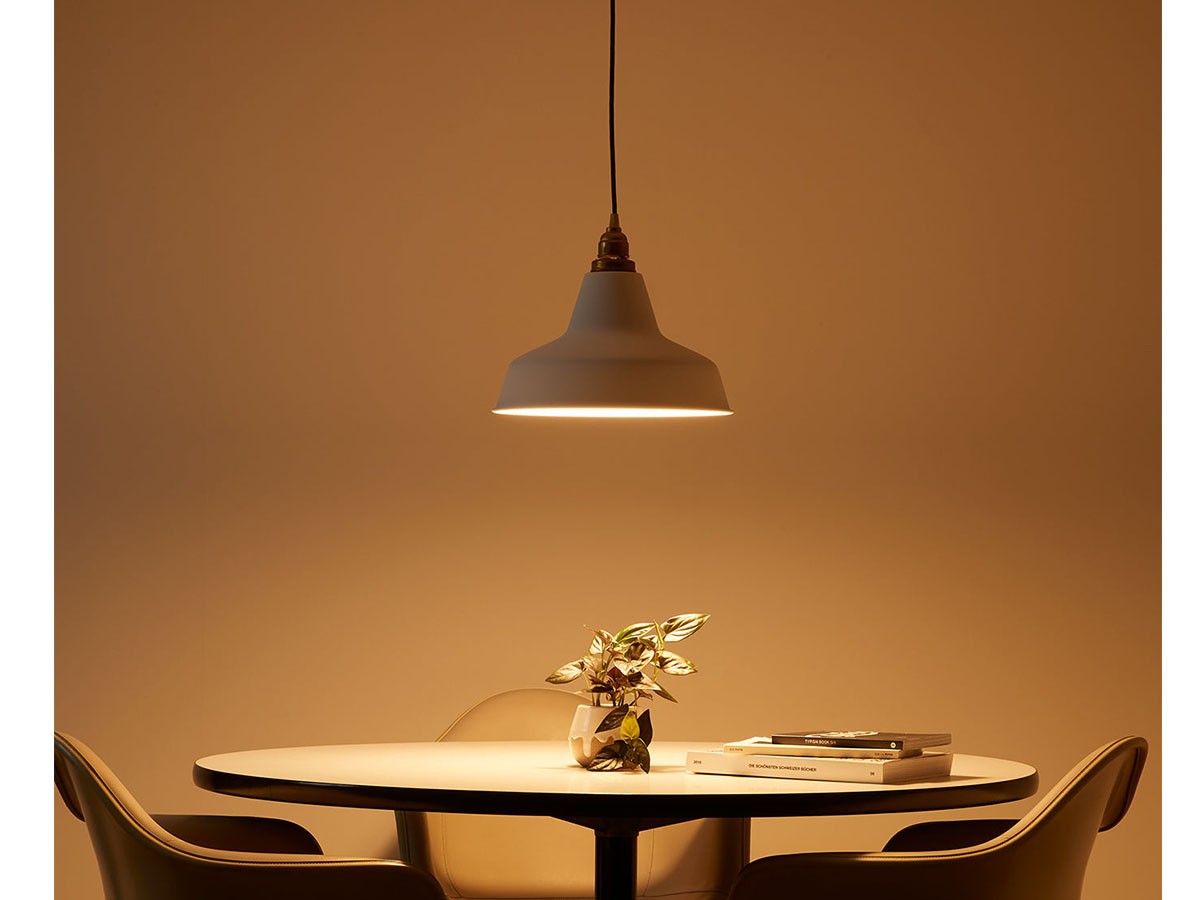 Pendant Light / ペンダントライト #9488 （ライト・照明 > ペンダントライト） 9