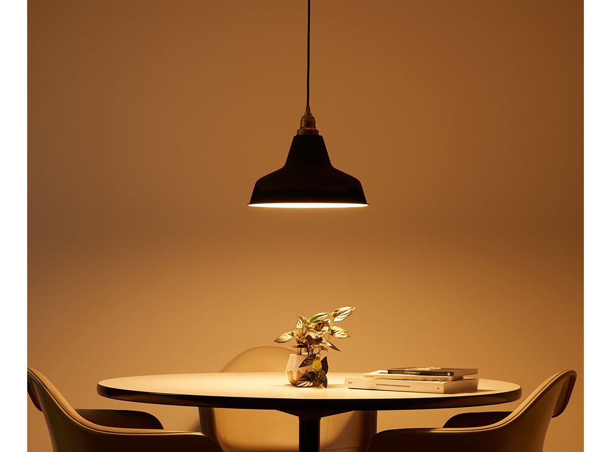 Pendant Light / ペンダントライト #9488 （ライト・照明 > ペンダントライト） 7