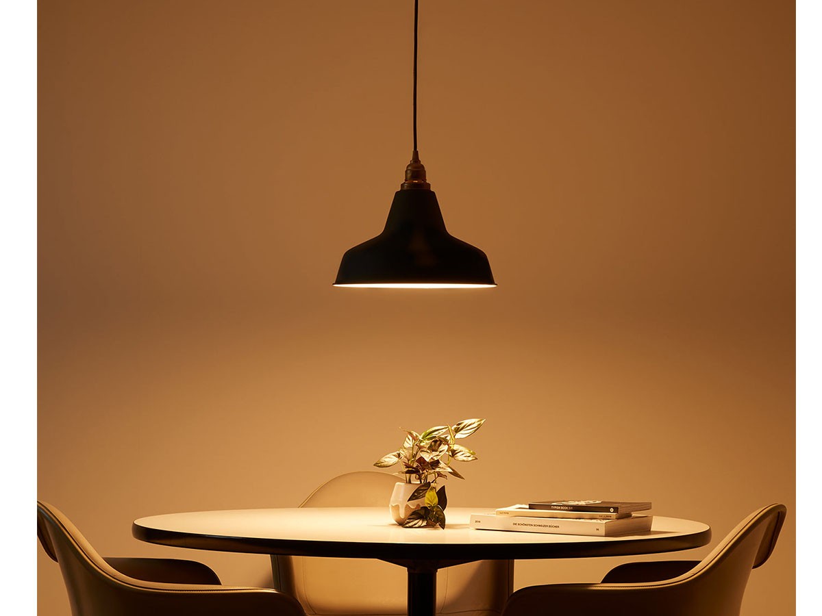Pendant Light / ペンダントライト #9488 （ライト・照明 > ペンダントライト） 11