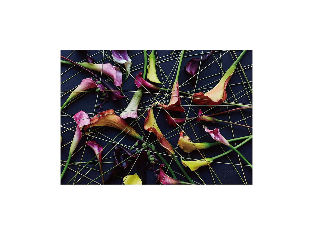 Geometric Scrumble Calla