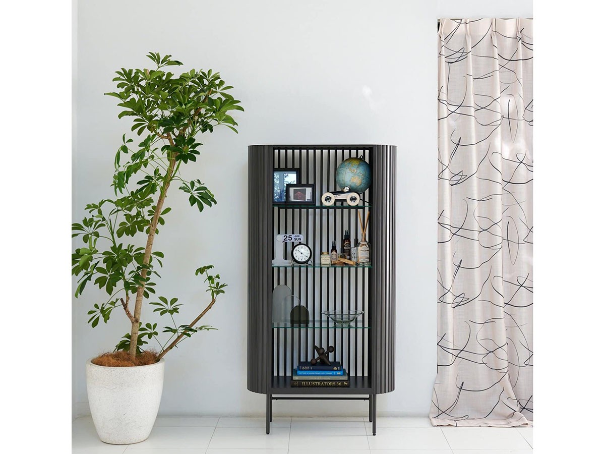 JOURNAL STANDARD FURNITURE HOLTE BOOK SHELF / ジャーナルスタンダードファニチャー ホルテ ブックシェルフ L （収納家具 > 本棚・マガジンラック） 4