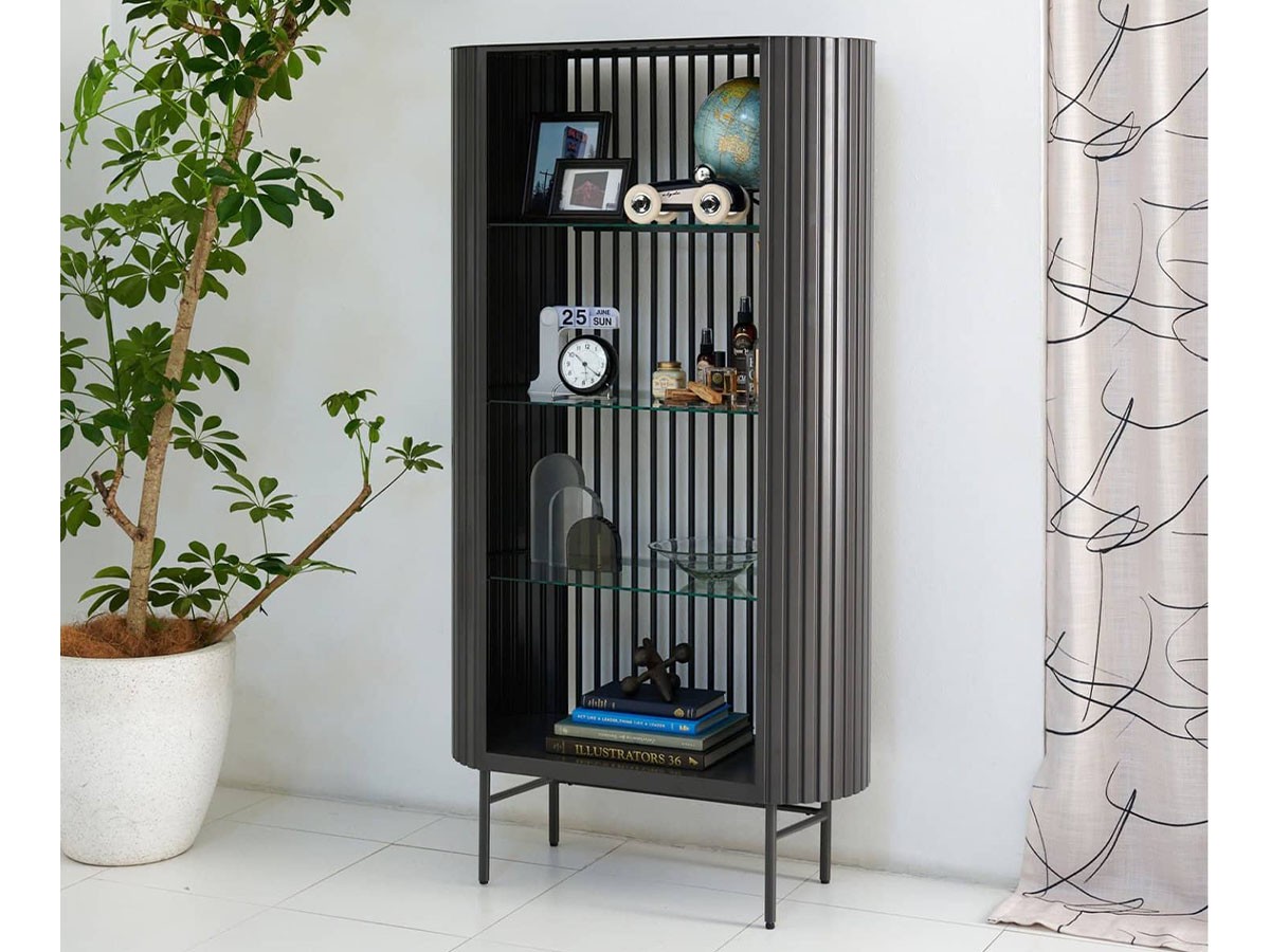 JOURNAL STANDARD FURNITURE HOLTE BOOK SHELF / ジャーナルスタンダードファニチャー ホルテ ブックシェルフ L （収納家具 > 本棚・マガジンラック） 5