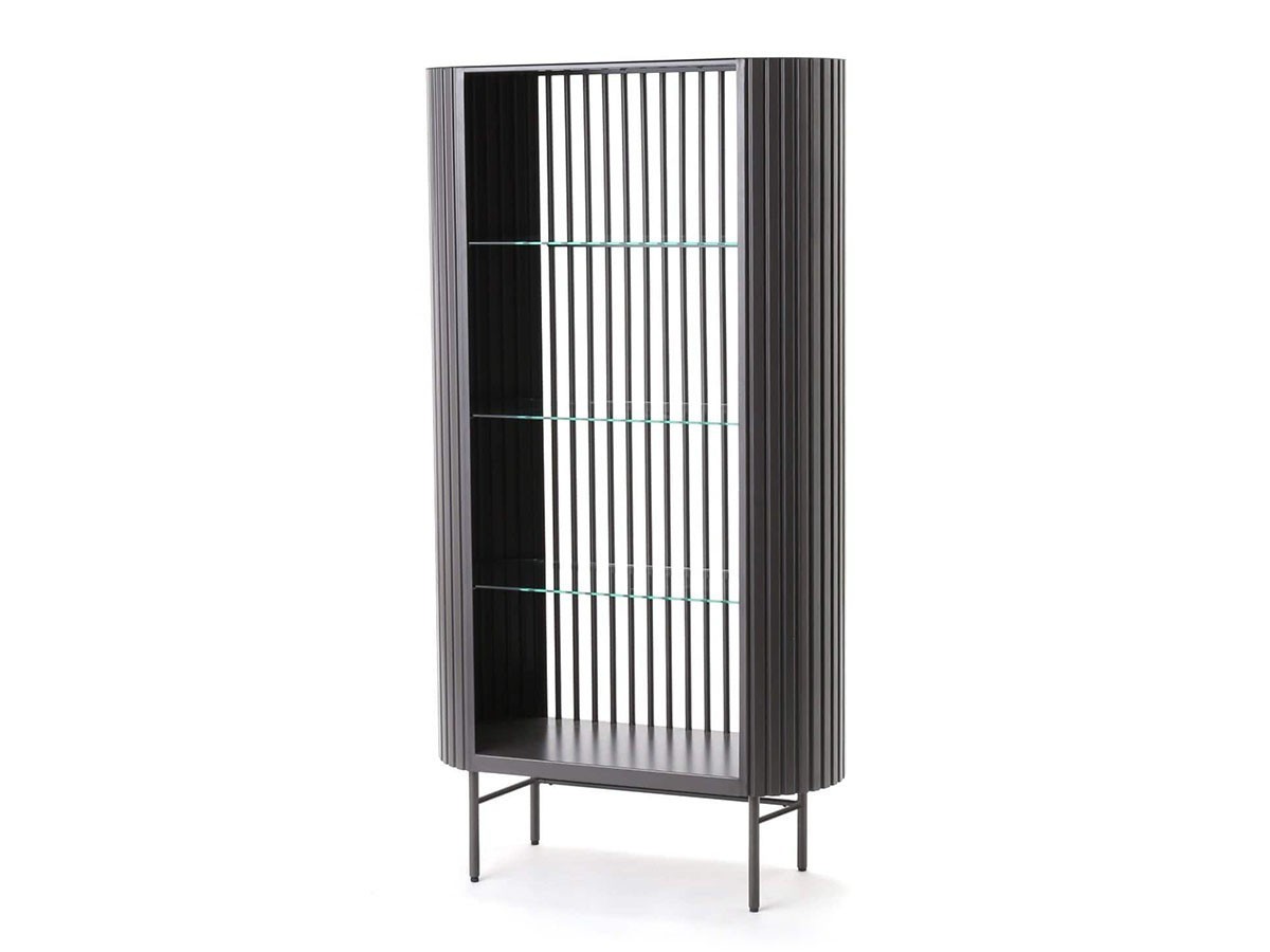 JOURNAL STANDARD FURNITURE HOLTE BOOK SHELF / ジャーナルスタンダードファニチャー ホルテ ブックシェルフ L （収納家具 > 本棚・マガジンラック） 2