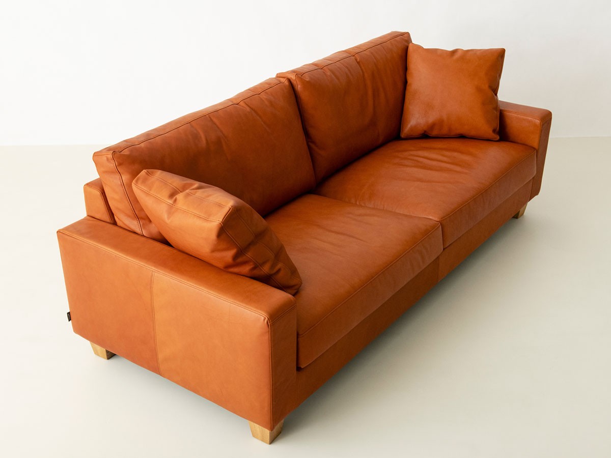 Dover 2.5seat Sofa / ドーヴァー 2.5シート ソファ （ソファ > 三人掛けソファ） 13