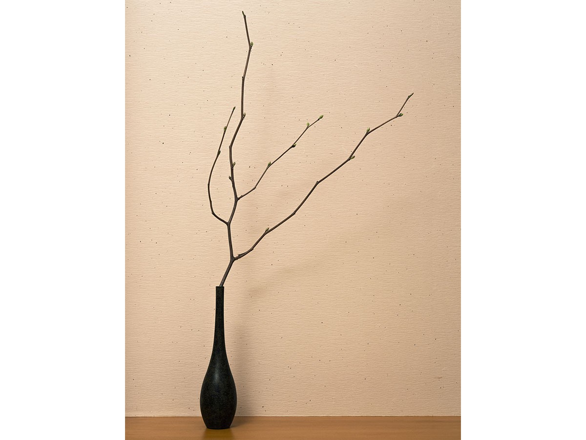 KANAYA SORORI KA+51 / カナヤ そろり KA+51 （花器・プランター・グリーン > 花瓶・フラワーベース） 7