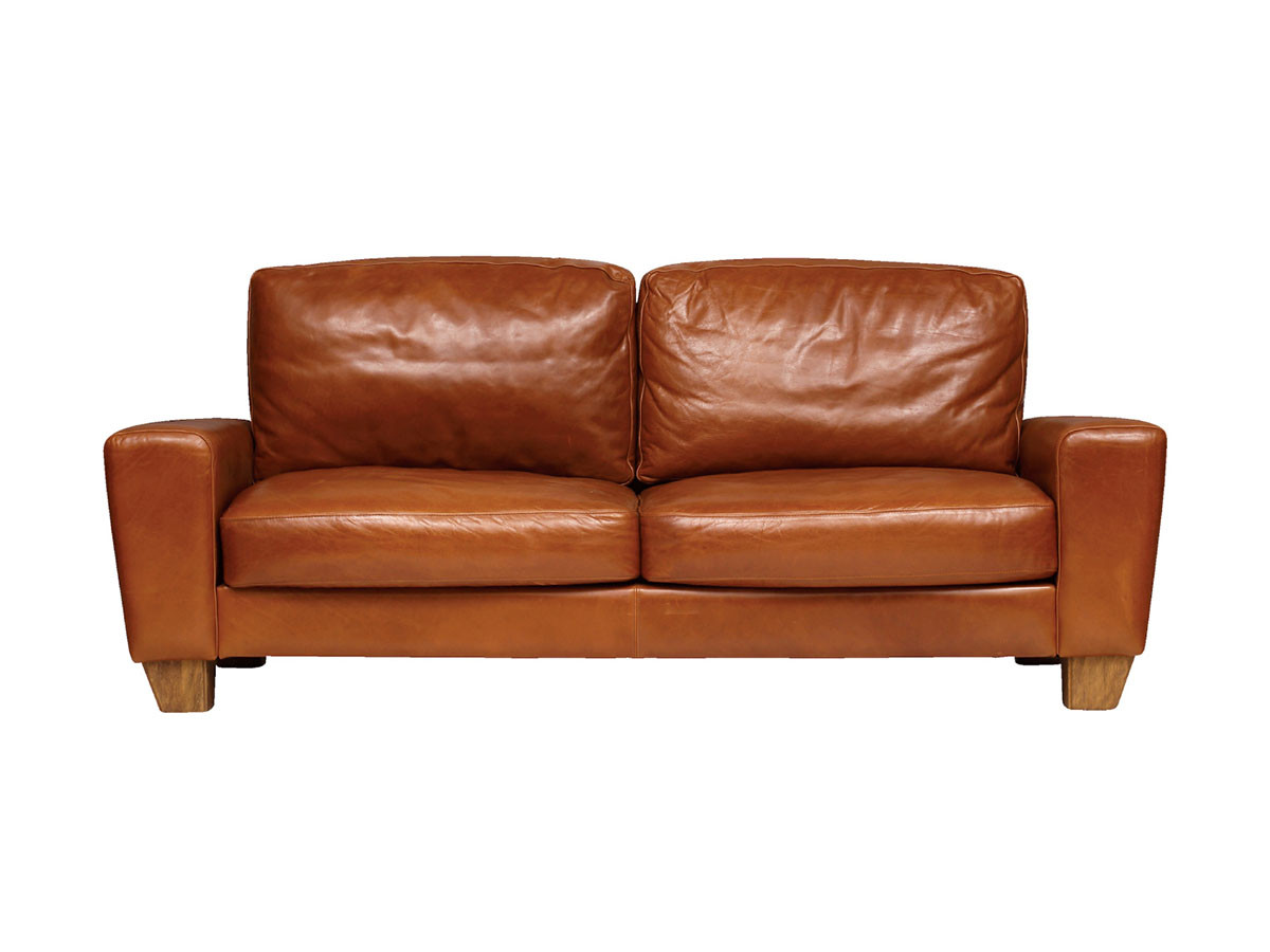 ACME Furniture FRESNO SOFA 2-SEATER / アクメファニチャー フレスノ 二人掛けソファー （ソファ > 二人掛けソファ） 1