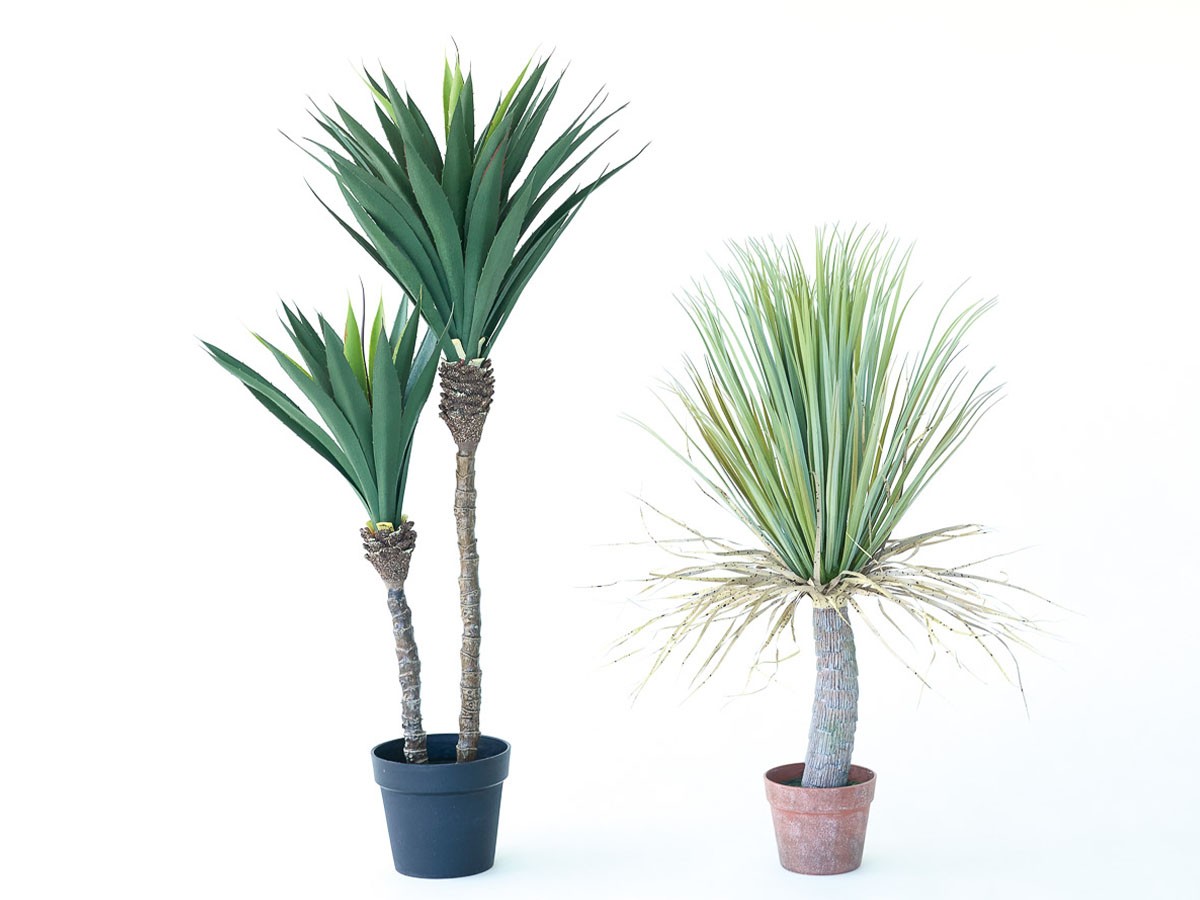 BROWN Yucca Pot / ブラウン ユッカ  ポット 115 （花器・プランター・グリーン > フェイクグリーン・フェイクフラワー） 4