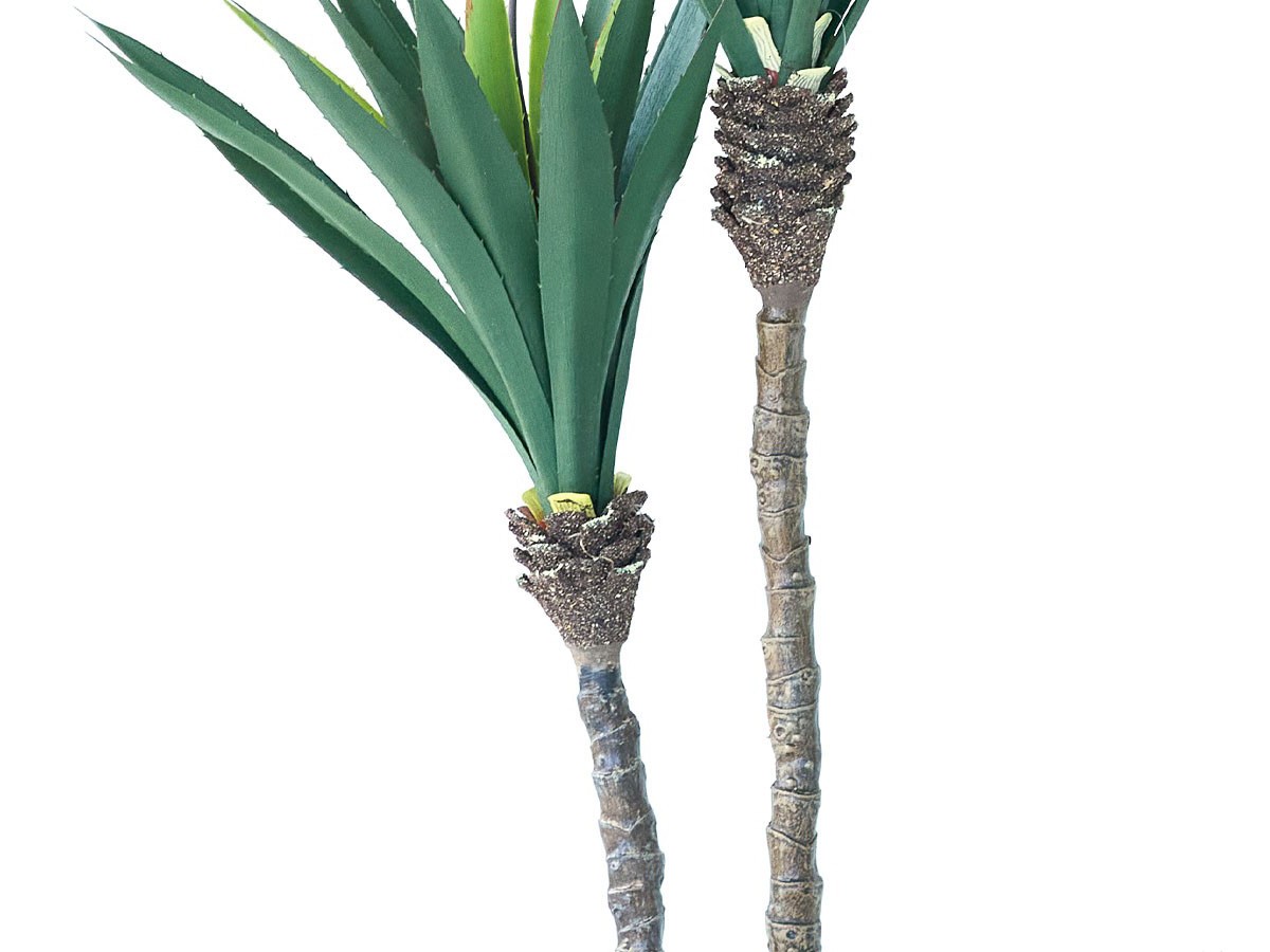 BROWN Yucca Pot / ブラウン ユッカ  ポット 115 （花器・プランター・グリーン > フェイクグリーン・フェイクフラワー） 6