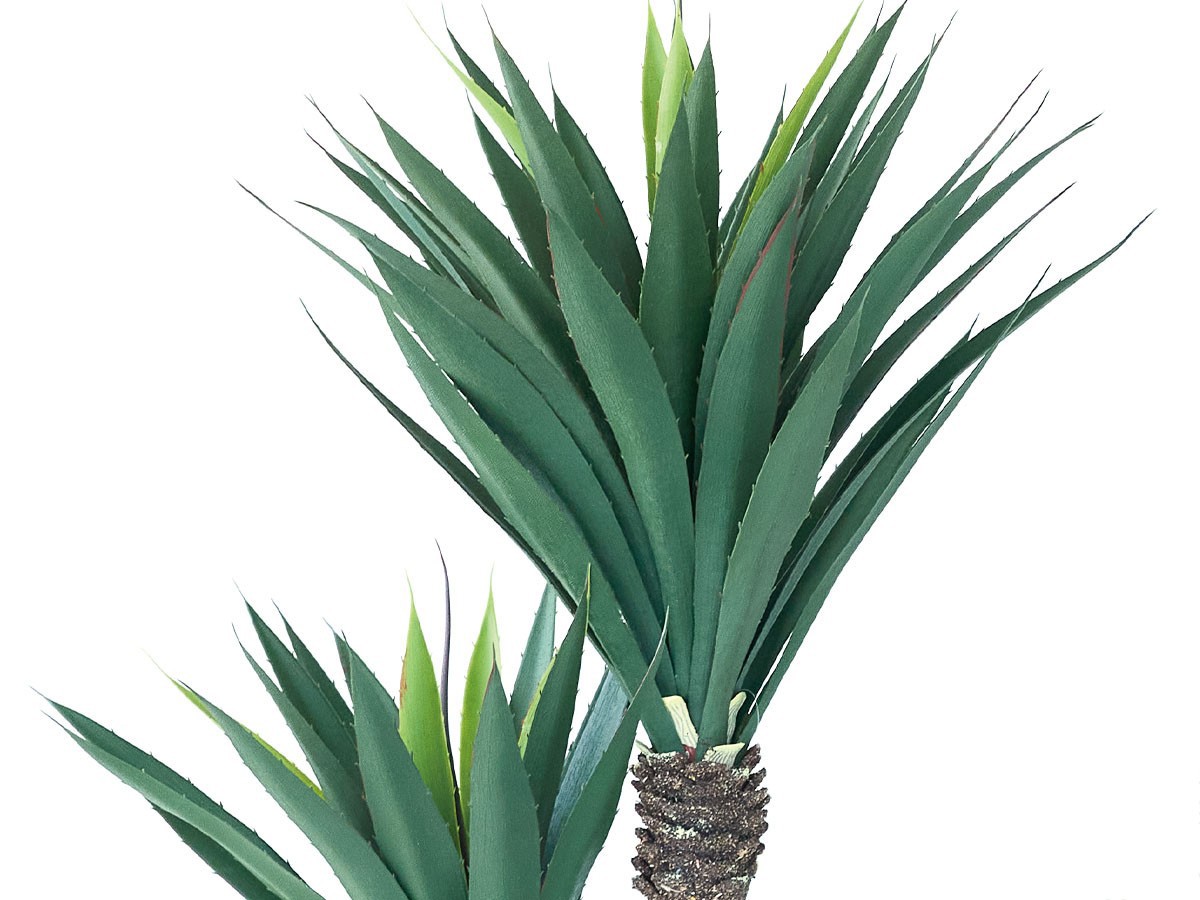 BROWN Yucca Pot / ブラウン ユッカ  ポット 115 （花器・プランター・グリーン > フェイクグリーン・フェイクフラワー） 5
