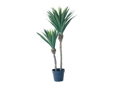 BROWN Yucca Rostrata Pot / ブラウン ユッカ ロストラータ ポット 120