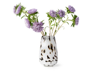 Henry Dean V.Stromboli XS / ヘンリーディーン V.ストロンボリ XS